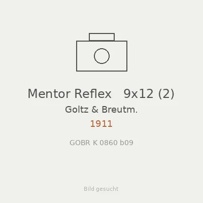 Mentor Reflex   9x12 (2)
