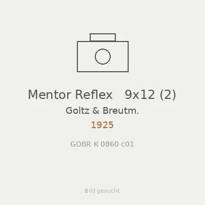 Mentor Reflex   9x12 (2)