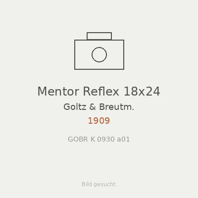 Mentor Reflex 18x24