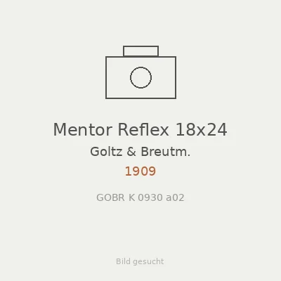 Mentor Reflex 18x24