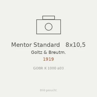 Mentor Standard   8x10,5