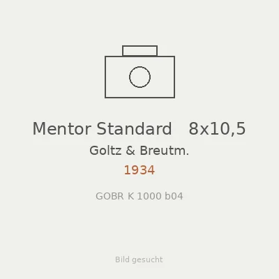 Mentor Standard   8x10,5