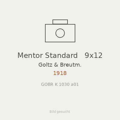 Mentor Standard   9x12