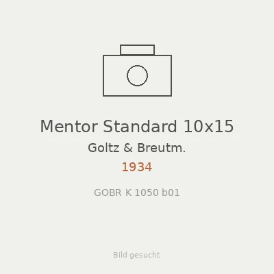 Mentor Standard 10x15