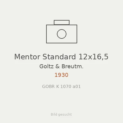Mentor Standard 12x16,5