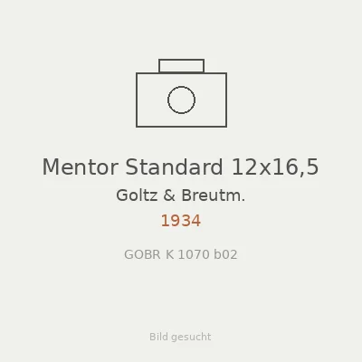 Mentor Standard 12x16,5