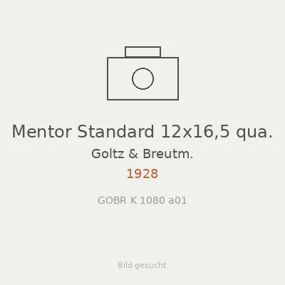 Mentor Standard 12x16,5 qua.