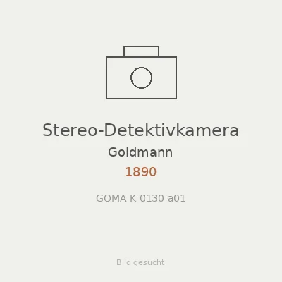 Stereo-Detektivkamera