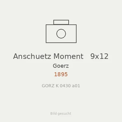 Anschuetz Moment   9x12