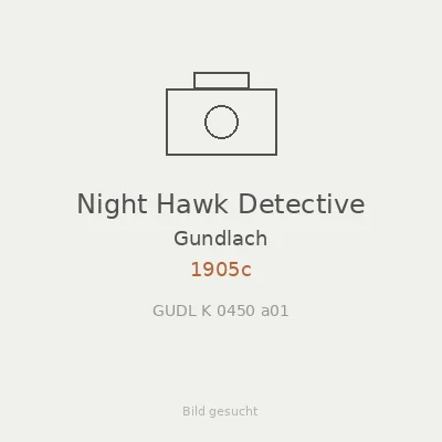 Night Hawk Detective