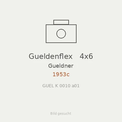 Gueldenflex   4x6