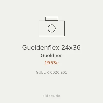 Gueldenflex 24x36