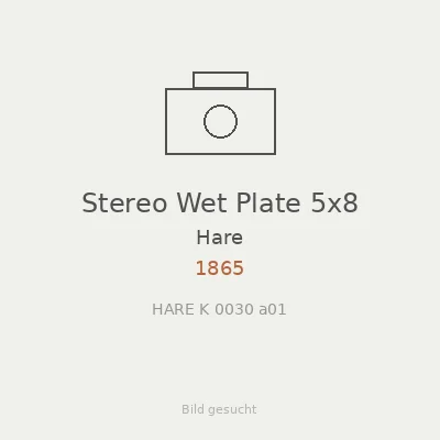 Stereo Wet Plate 5x8