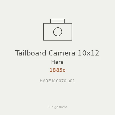 Tailboard Camera 10x12