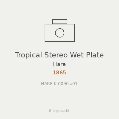 Tropical Stereo Wet Plate