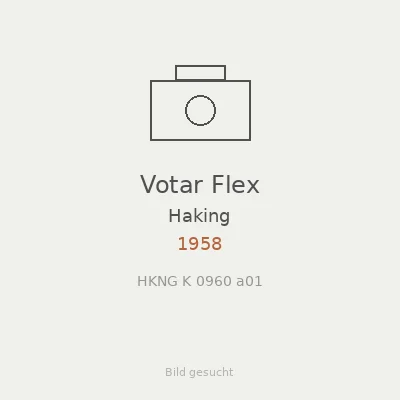 Votar Flex