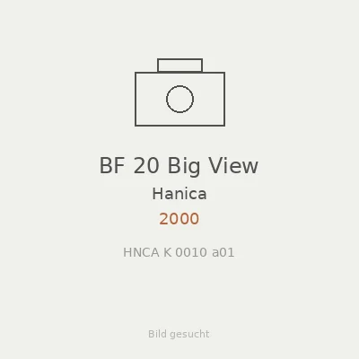 BF 20 Big View