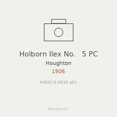 Holborn Ilex No.   5 PC