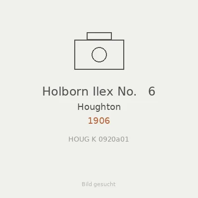 Holborn Ilex No.   6