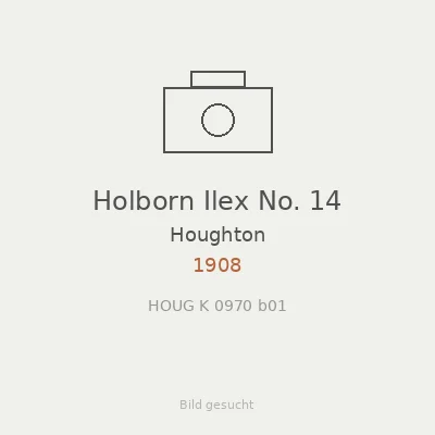 Holborn Ilex No. 14