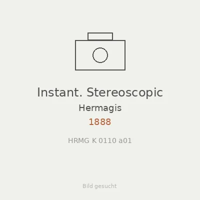 Instant. Stereoscopic