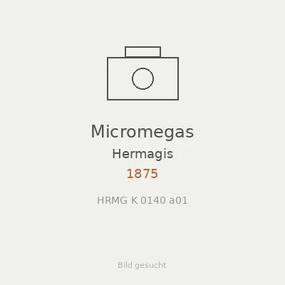 Micromegas