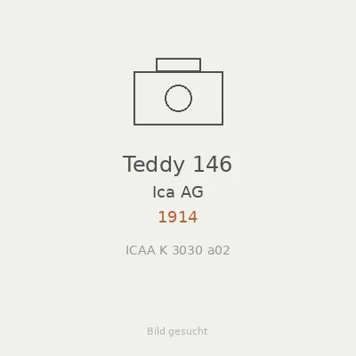 Teddy 146