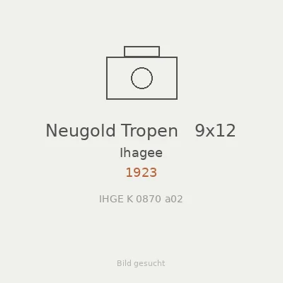 Neugold Tropen   9x12