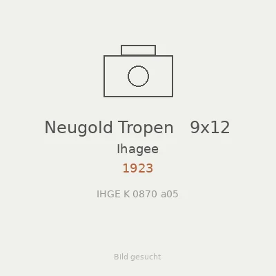 Neugold Tropen   9x12