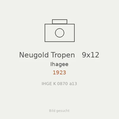 Neugold Tropen   9x12