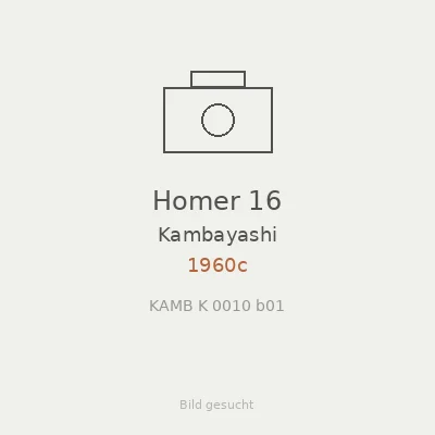 Homer 16