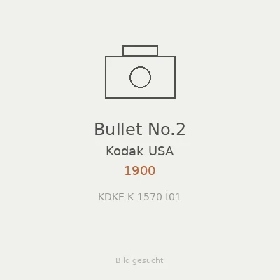 Bullet No.2