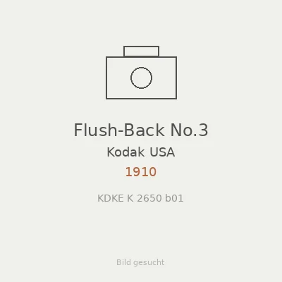 Flush-Back No.3
