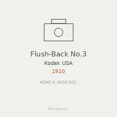 Flush-Back No.3