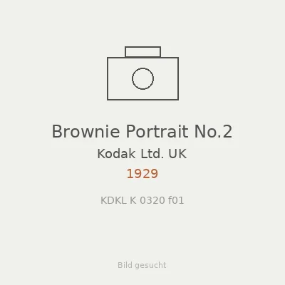 Brownie Portrait No.2