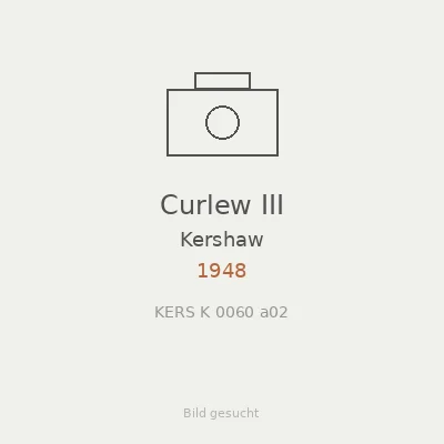 Curlew III