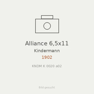 Alliance 6,5x11