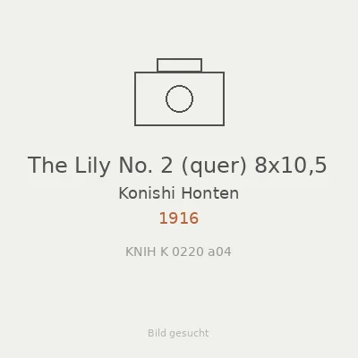The Lily No. 2 (quer) 8x10,5