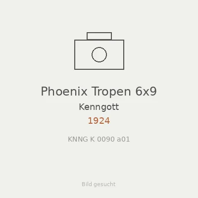Phoenix Tropen 6x9