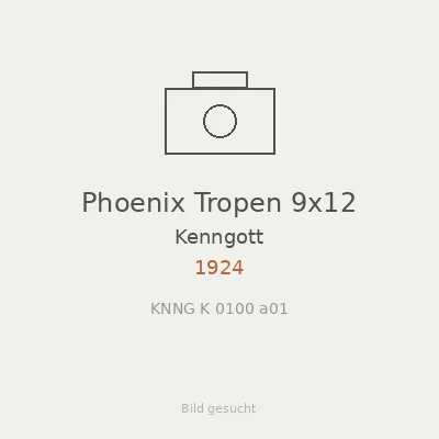 Phoenix Tropen 9x12