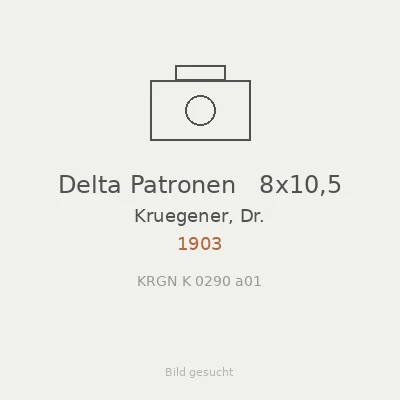 Delta Patronen   8x10,5