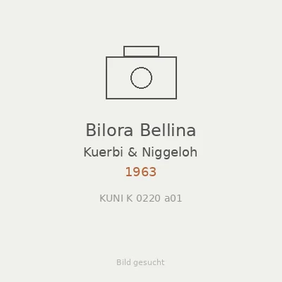 Bilora Bellina