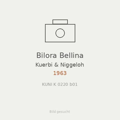 Bilora Bellina