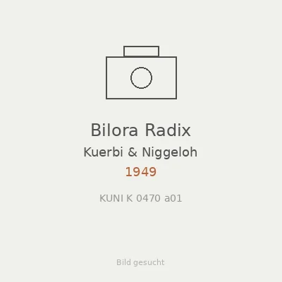 Bilora Radix