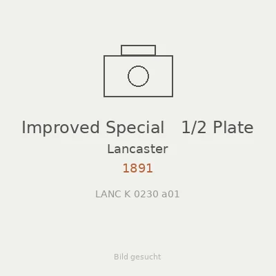 Improved Special   1/2 Plate