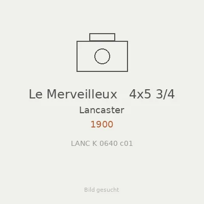 Le Merveilleux   4x5 3/4
