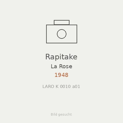 Rapitake