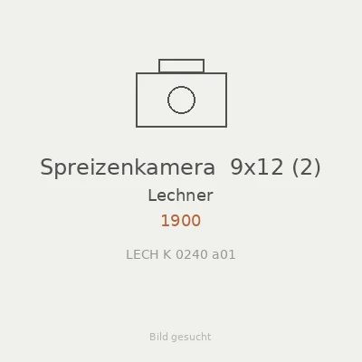Spreizenkamera  9x12 (2)