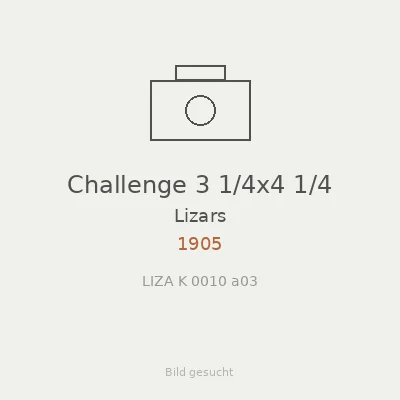 Challenge 3 1/4x4 1/4