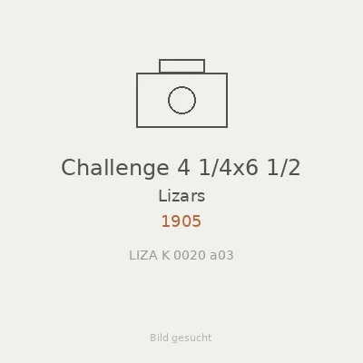 Challenge 4 1/4x6 1/2